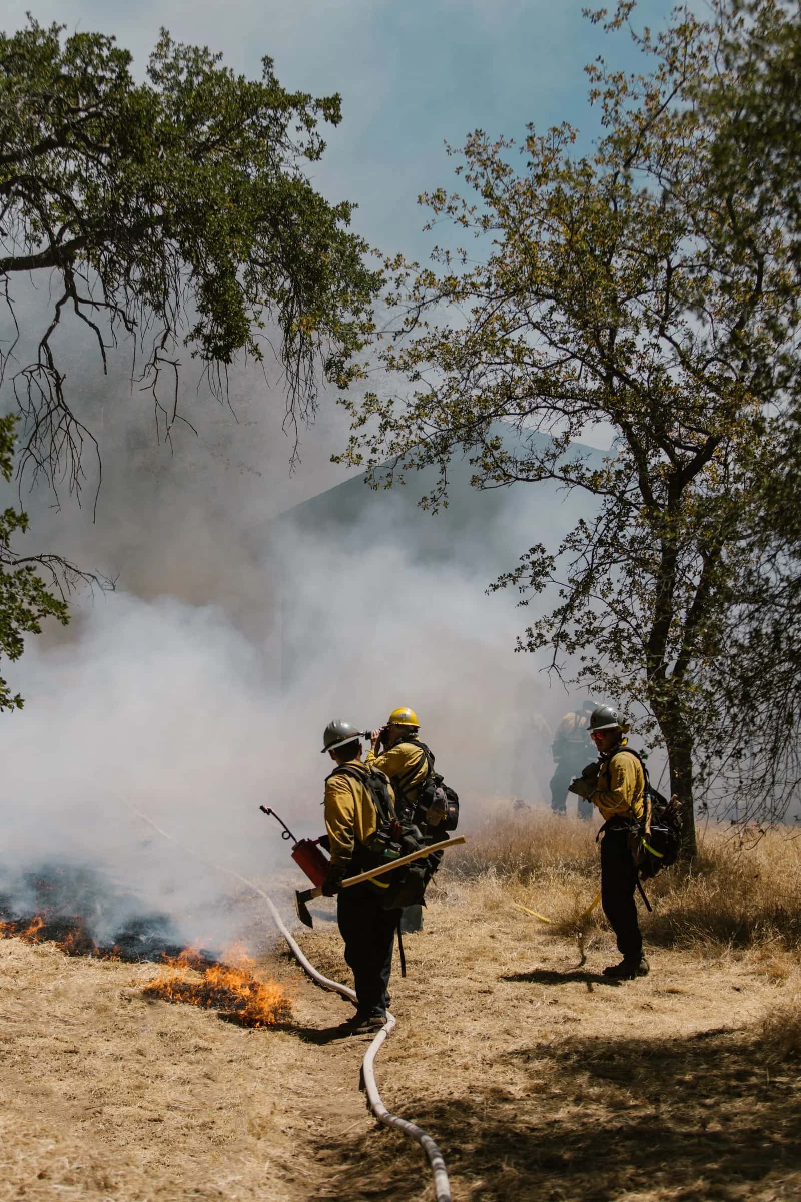 Brigadistas trabajando entre humo y vegetación durante un incendio forestal