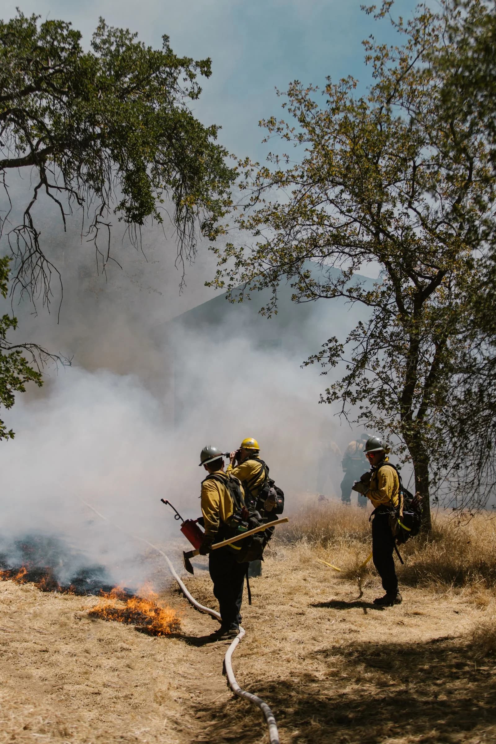 Brigadistas trabajando durante un incendio forestal